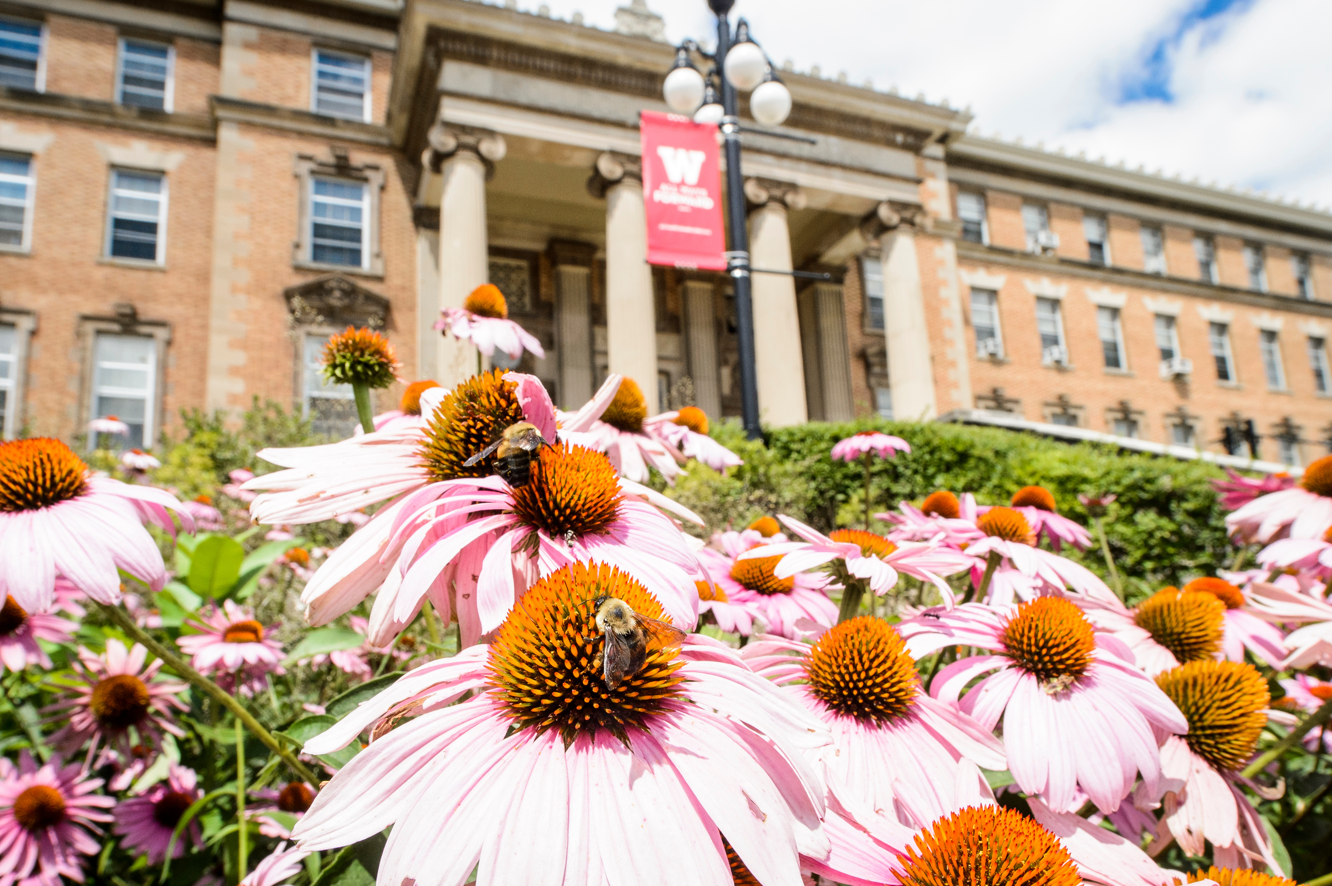 flowers outside of agricultural hall