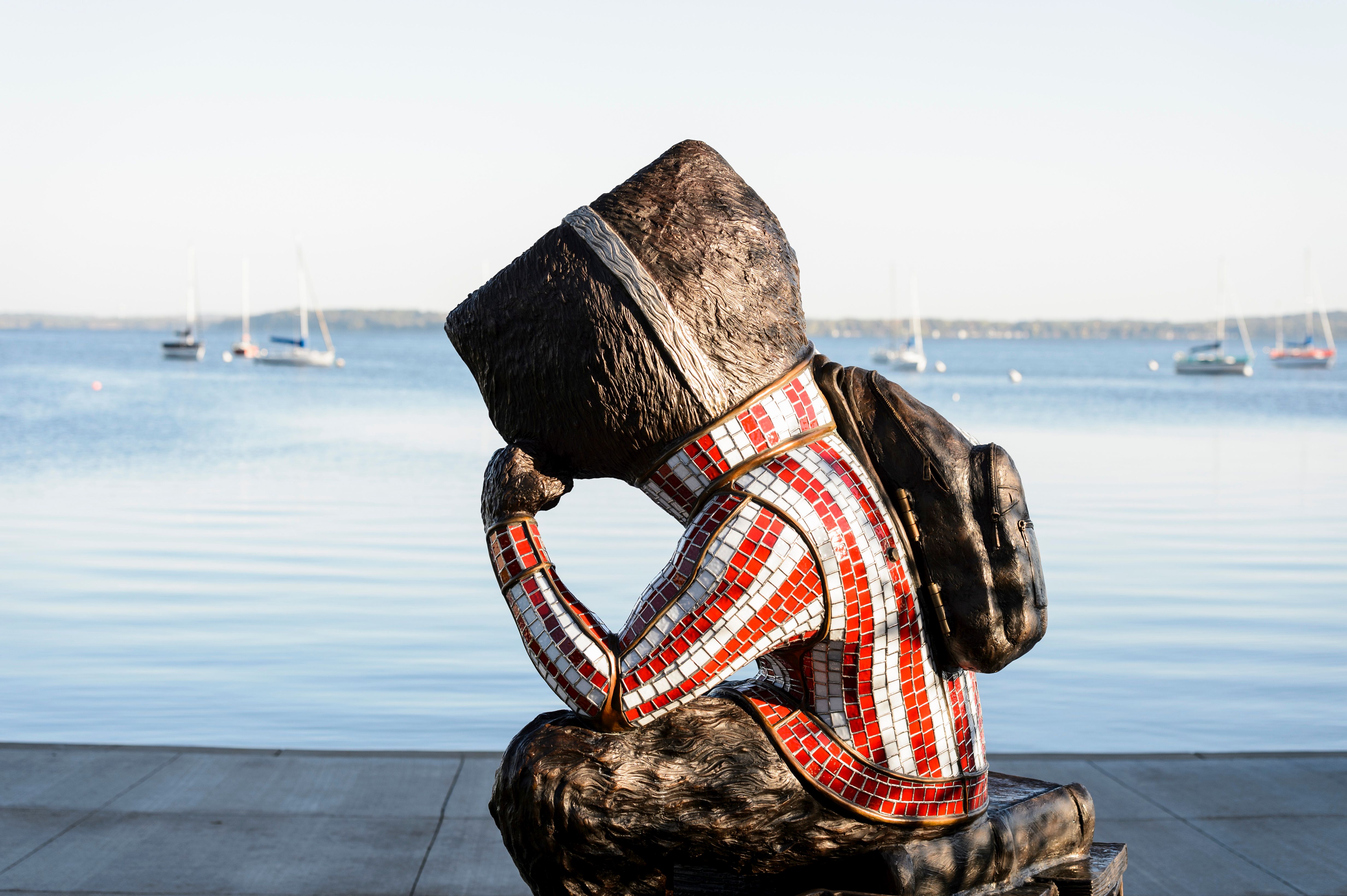 bucky looking at lake
