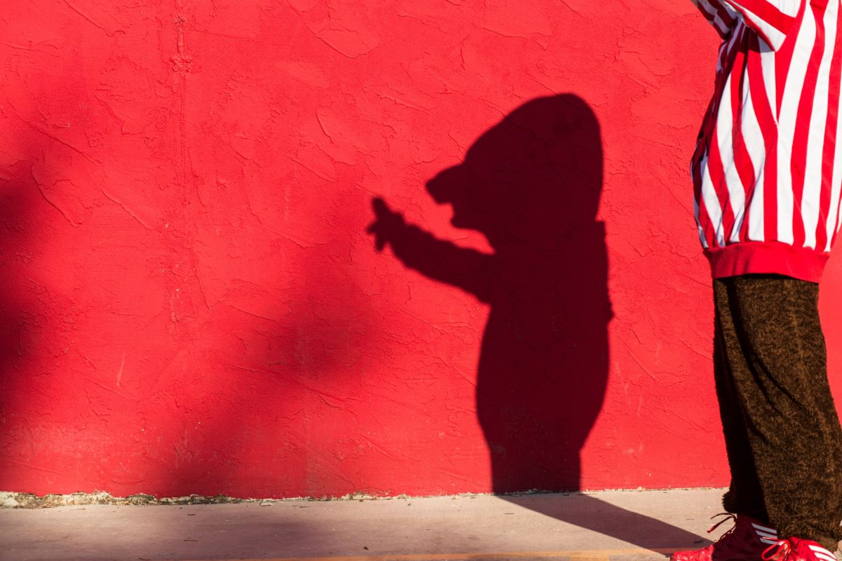 Bucky shadow red wall