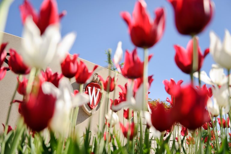 W crest with tulips